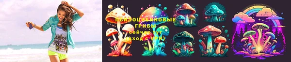 твердый Надым