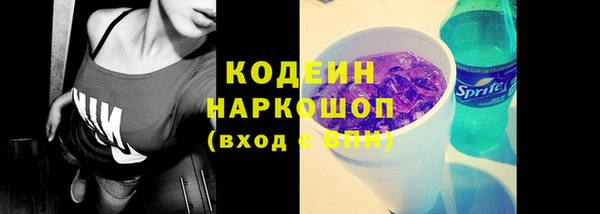 твердый Надым