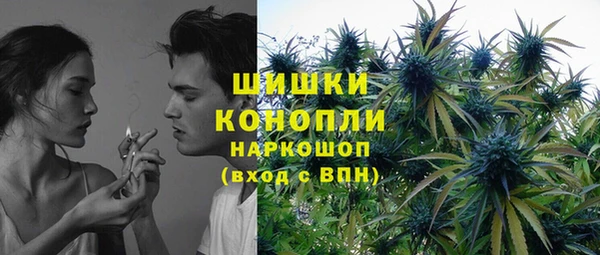 твердый Надым