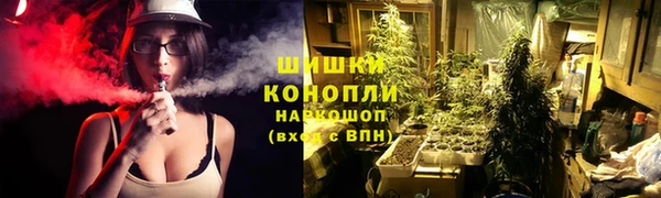 твердый Надым