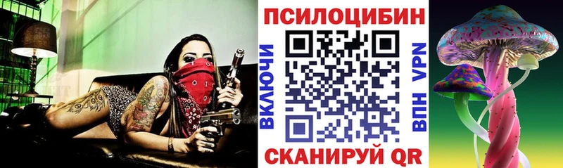 Псилоцибиновые грибы ЛСД  МЕГА вход  Райчихинск 
